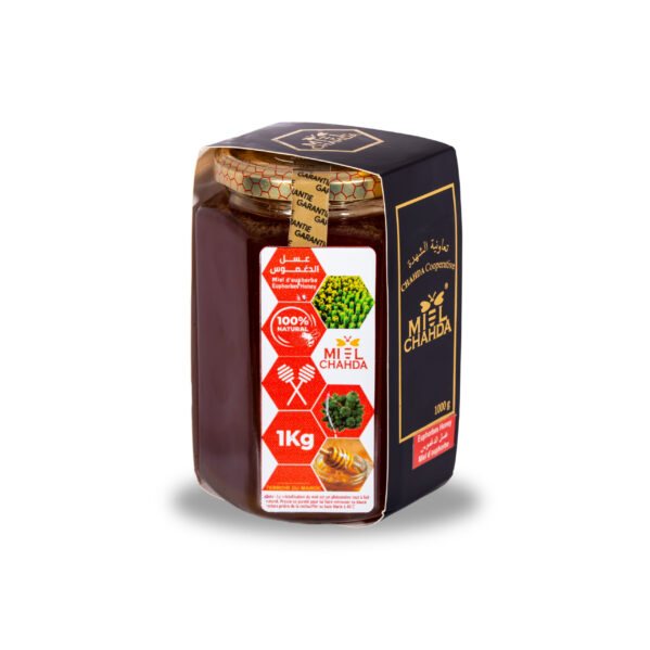 Miel d’Euphorbe (Daghmous) – Un Miel Rare et Puissant